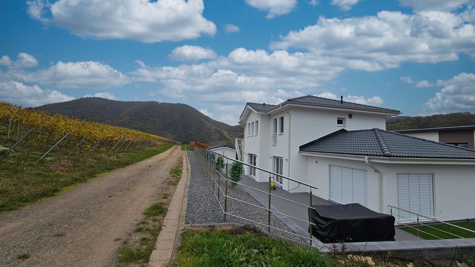 Blick auf das Haus und die Weinberge